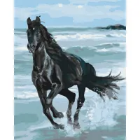 Картина за номерами Чорний кінь Brushme 40x50см BS29330