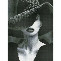 Алмазна мозаїка Загадкова Дама Brushme 30x40см DRBS53937