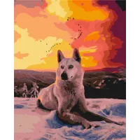 Картина за номерами Арктичний вовк Brushme 48x60см BS35782L