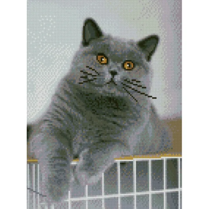Алмазна картина "Цікавий котик" HX177 30x40 см