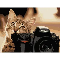 Картина за номерами Art Craft "Пухнастий фотограф" 40х50см 11608-AC