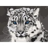 Картина за номерами Art Craft "Синьоокий ірбіс" 40х50см 11609-AC