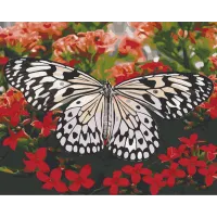 Картина за номерами Art Craft "Красуня в кольорах" 40x50см 13119-AC