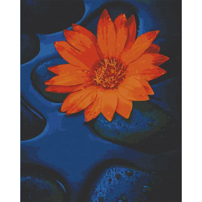 Картина за номерами Art Craft Квітка лотоса 40x50см 13124-AC