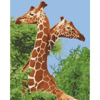 Картина за номерами Art Craft Пара жирафів 40x50см 11613-AC