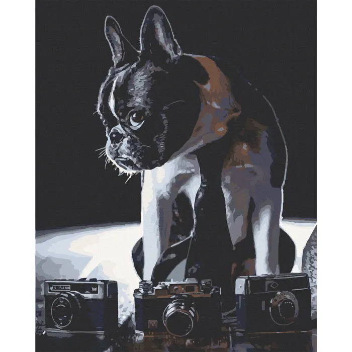 Картина за номерами Art Craft Сором'язливий фотограф 40x50см 11642-AC