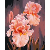 Картина за номерами Рожеві іриси Art Craft 13140-AC 40x50 см