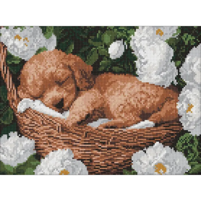 Алмазна мозаїка Сплячий пудель ©art_selena_ua AMO8170, 30x40 см