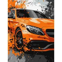 Картина за номерами Яскрава міць ©art_selena_ua KHO5154, 30x40 см