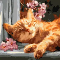 Картина за номерами Рудий кіт на підвіконні ©art_selena_ua KHO6791, 40x40 см