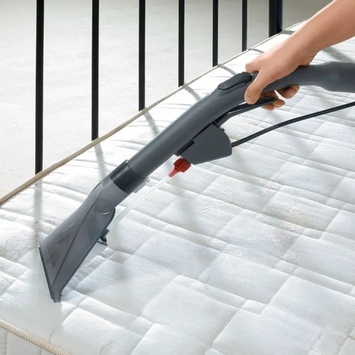 Пилосос Thomas Aqua FleckWasher (788121)