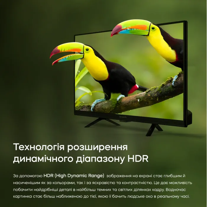 Телевізор Bravis 24" 24K5000H