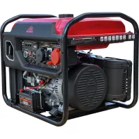 Генератор бензиновий інверторний Vitals IG 10.0bat dual power + ATS