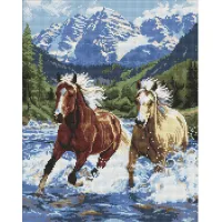 Алмазна мозаїка Сила у русі AMO20010, 40x50 см