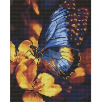 Алмазна мозаїка Мерехтіння крил AMO8287, 40x50 см