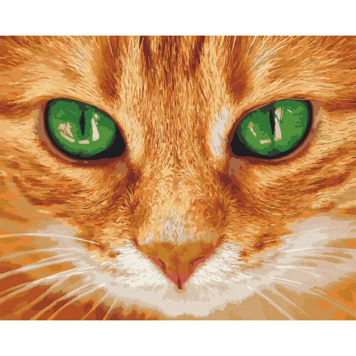 Картина за номерами Art Craft Зелені очі 40x50см 11620-AC