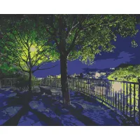 Картина за номерами Art Craft Нічний парк 40x50см 10585-AC