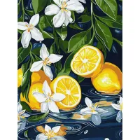 Картина за номерами Лимон у розрізі ©art_selena_ua KHO5733, 30x40 см