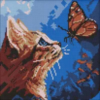 Алмазна мозаїка Котик та метелик ©art_selena_ua AMO20076, 30x30 см