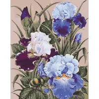 Картина за номерами Півники Art Craft 13145-AC 40x50 см