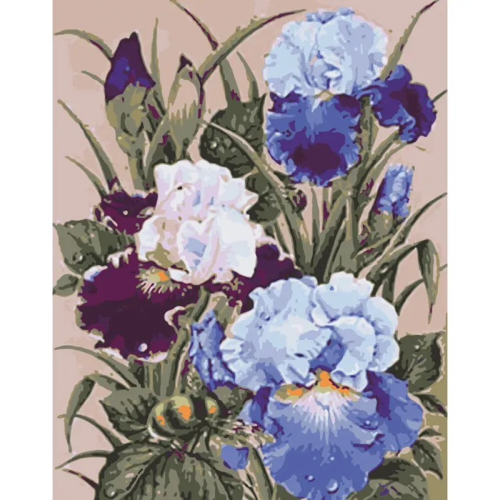 Картина за номерами Півники Art Craft 13145-AC 40x50 см