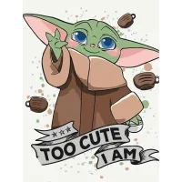 Картина за номерами Cute Grogu 16134-AC 30x40 см