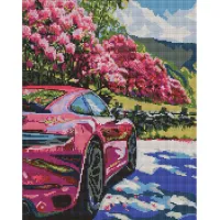 Алмазна мозаїка Рух у кольорі AMO20113, 40x50 см