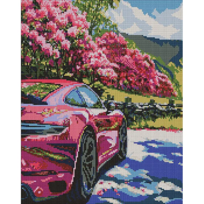 Алмазна мозаїка Рух у кольорі AMO20113, 40x50 см