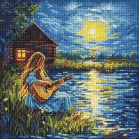 Алмазна мозаїка Звуки у темряві AMO8229, 40x40 см