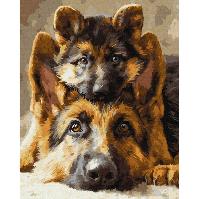 Картина за номерами Разом завжди KHO6944, 40x50 см