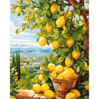 Картина за номерами Лимонне дерево LW3490, 40x50 см