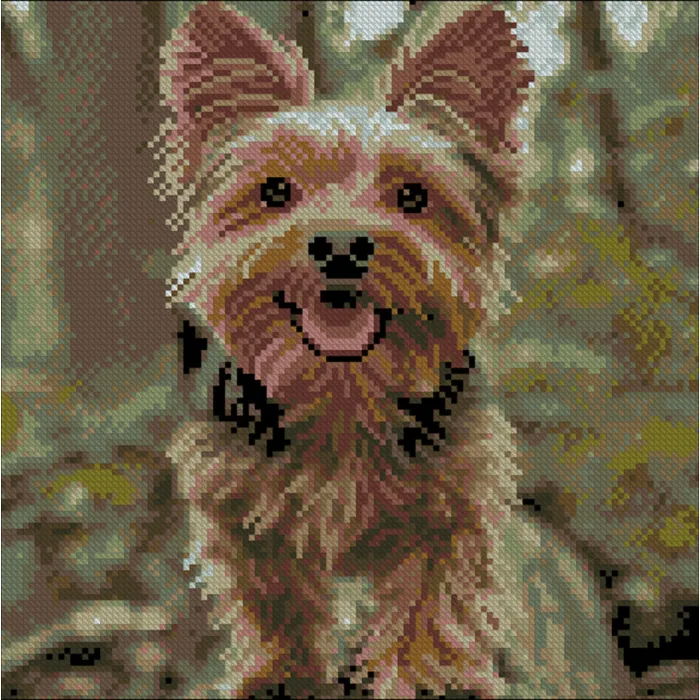 Алмазна мозаїка Веселий йорк FZ3030-39, 30x30 см