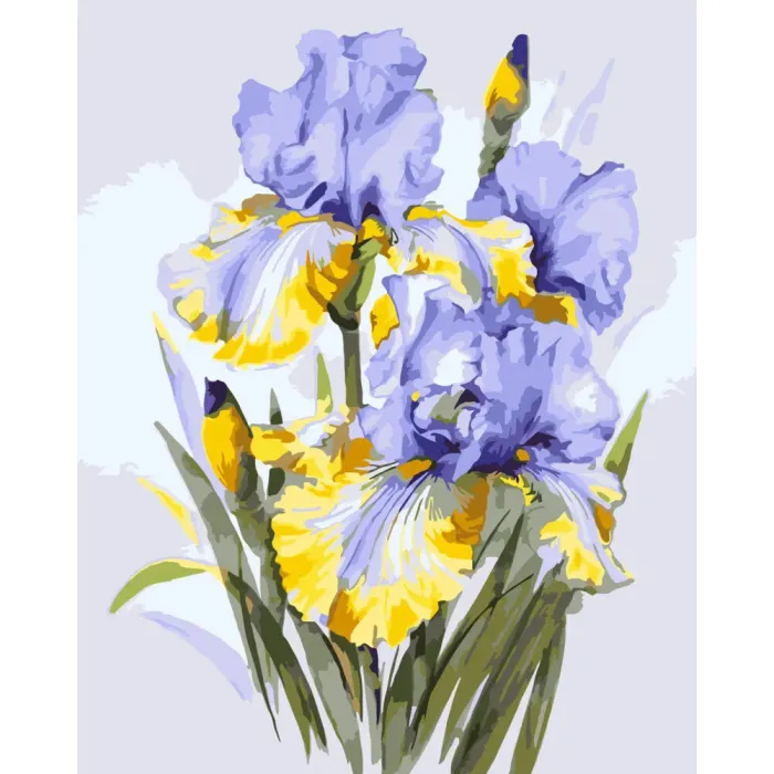 Картина за номерами Букет ірисів LW31600, 40x50 см