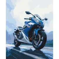 Картина за номерами Свобода на Колесах Brushme 48x60см BS54125L