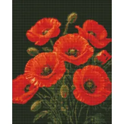 Алмазна мозаїка Чарівність маків Brushme 40x50см DBS1295