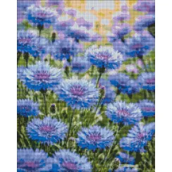 Алмазна мозаїка Квітучі волошки Brushme 40x50см DBS1296