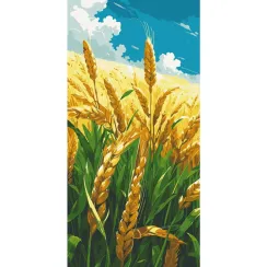 Картина за номерами Рідне поле 13087-AC 40x80 см