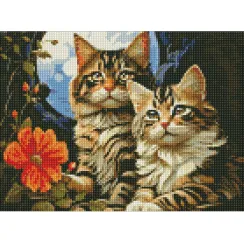 Алмазна мозаїка Чарівні котики AMO7853 30x40см