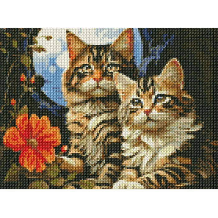 Алмазна мозаїка Чарівні котики AMO7853 30x40см