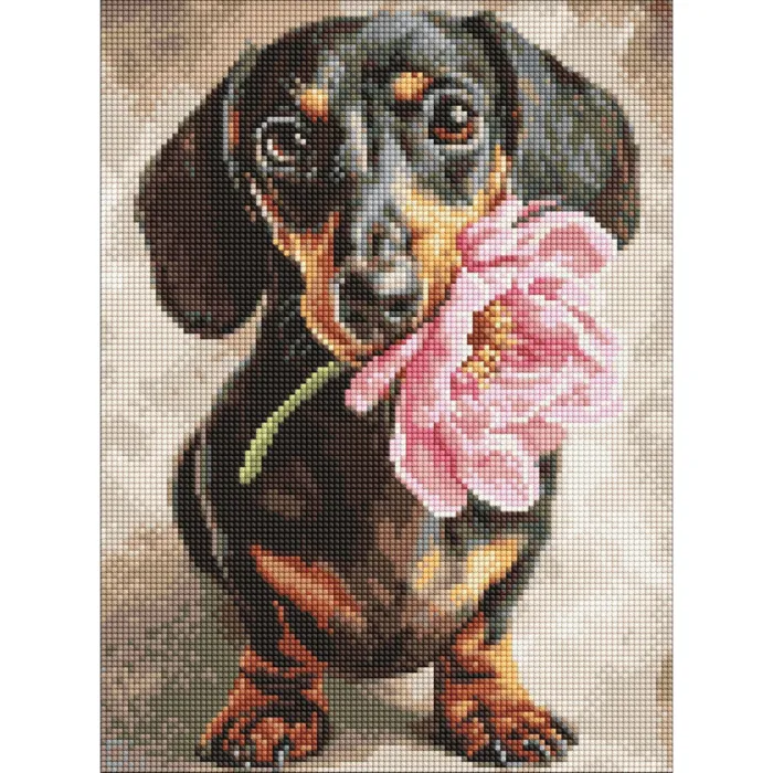 Алмазна мозаїка Песик і сюрприз ©art_selena_ua AMO20219, 30x40 см