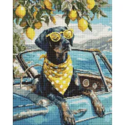 Алмазна мозаїка Лимонний пес у окулярах ©art_selena_ua AMO20064, 40x50 см