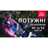 Бензопила ланцюгова Vitals Master BKZ 4525j 18“